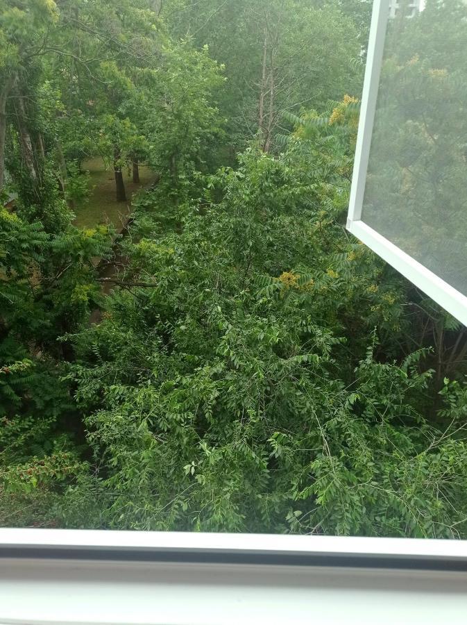 Білі 1 Кімнатні Апартаменти Сіті- Центр 4 Поверх 9 Поверхового Будинку Mykolaiv Exterior foto